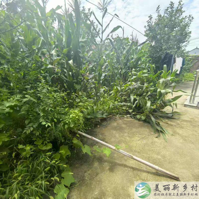 北京延庆农村院子-大院两门10卧2各厨整别墅出租