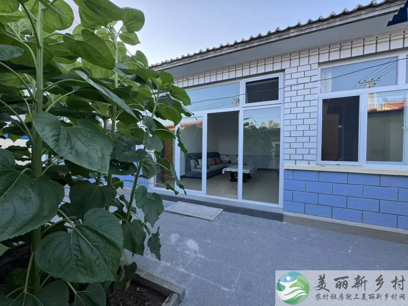 北京延庆农村院子-长满葵花的院子出租