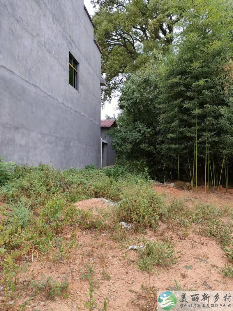 乡镇农村自建三间二层楼房带院子出租