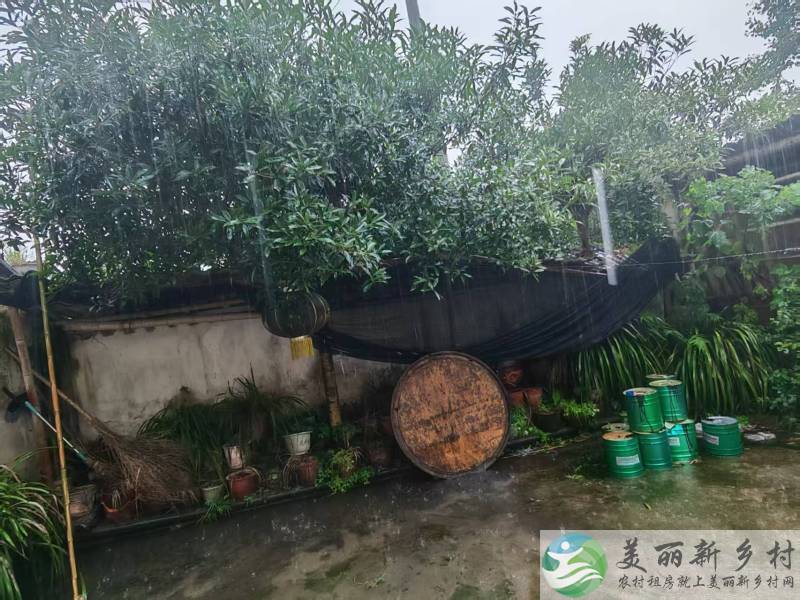 桂花镇农家小院出租