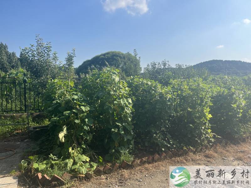北京市密云区溪翁庄镇白草洼农村院子出租