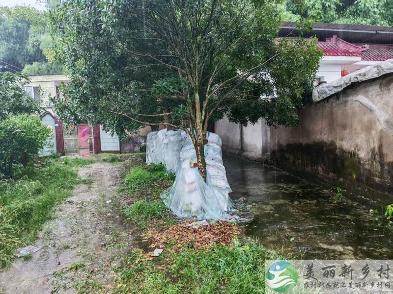 桂花镇农家小院出租