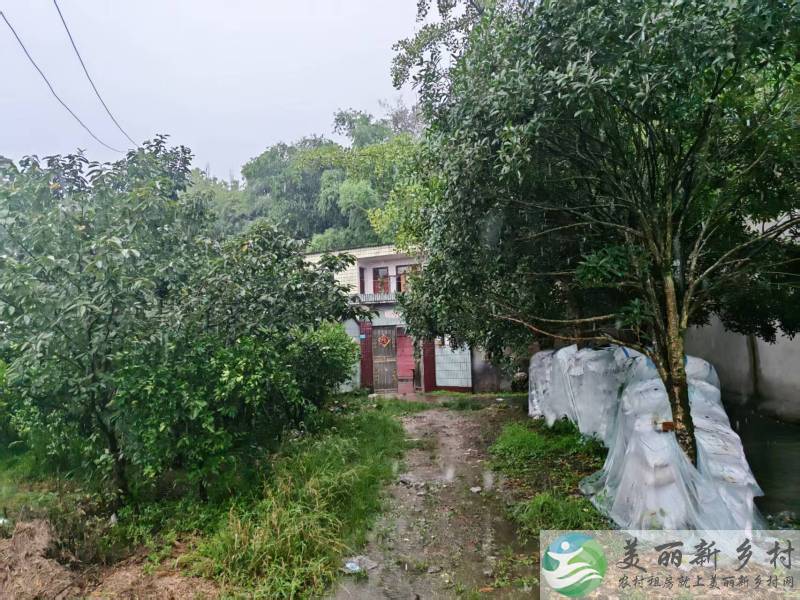 桂花镇农家小院出租