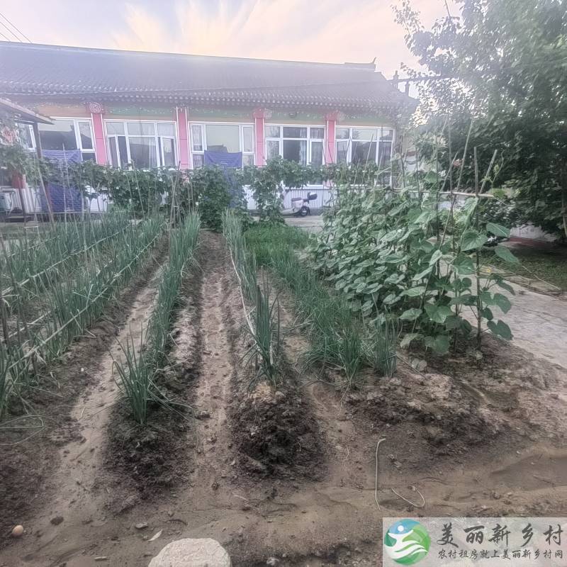 北京顺义北石槽镇刘各庄村农村小院出租