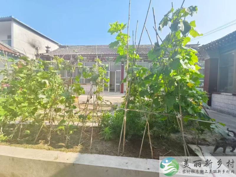 顺义赵全营镇起脊三合院-三室两厅可长租