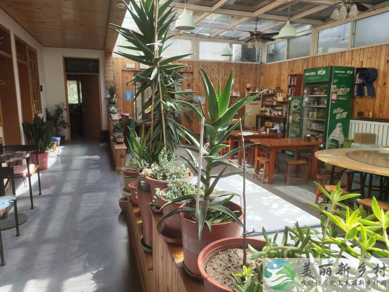 怀柔区金珠靠山临水拎包入住整院出租