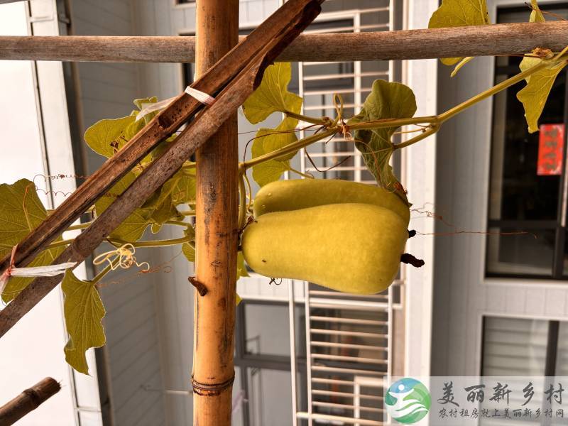 桥梓镇二层自建房出租