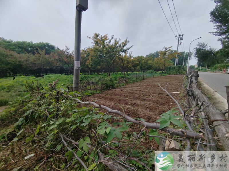 10分钟上京平-独立把边树林环绕两进小院-拎包入住