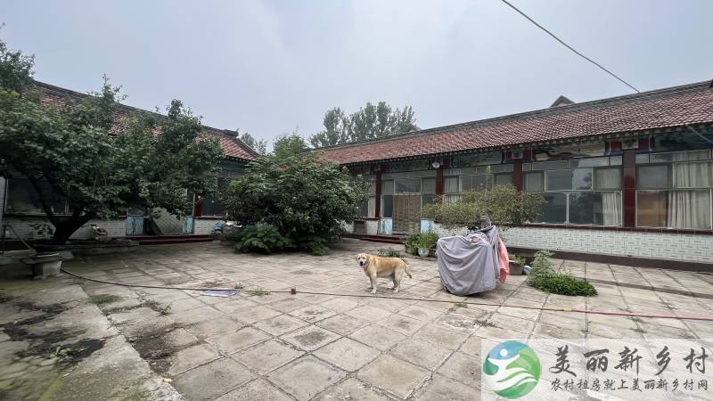 顺义李桥村边大院-正房七间厢房三间可长租可改造