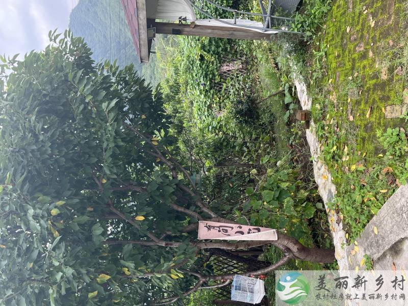 九渡河镇西四渡河村