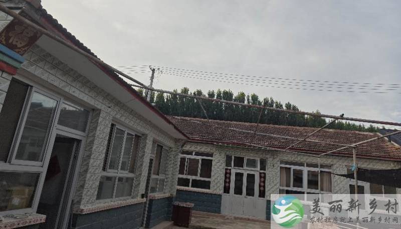 永乐店镇后营村