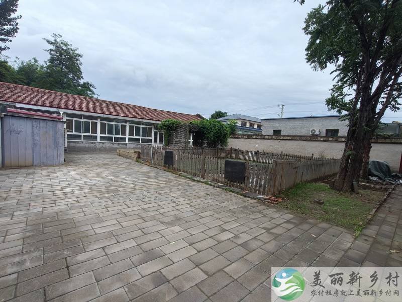 顺义可养宠物小院