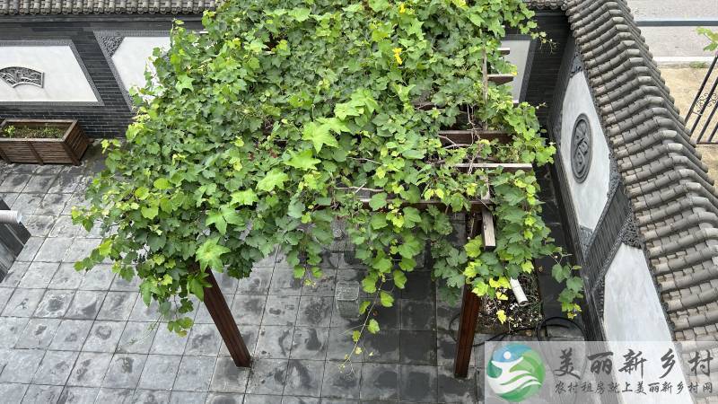 北京昌平兴寿镇桃林村独栋私密别墅出租
