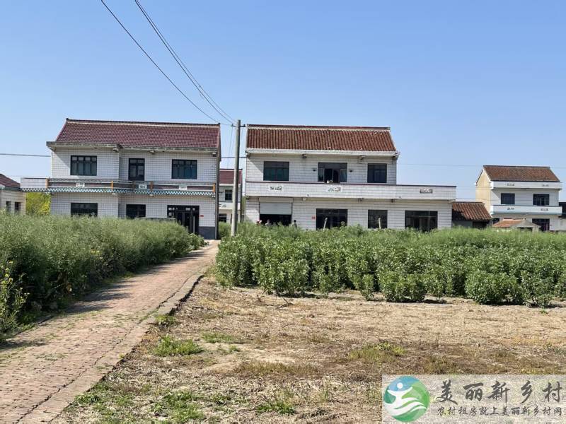 南阳镇元庆村民房出租