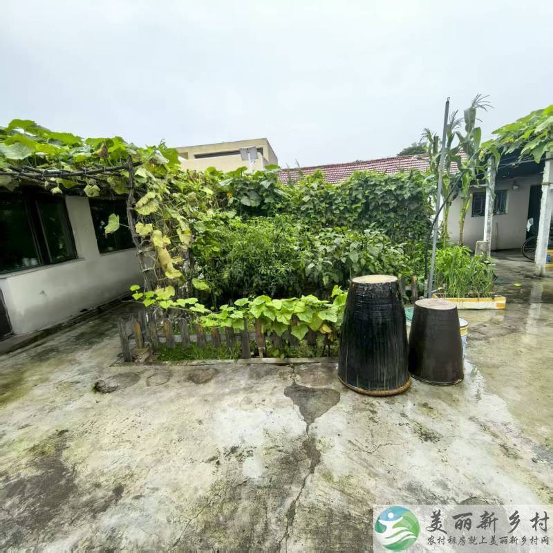 北京延庆农村院子-张山营田园真好度假小院出租