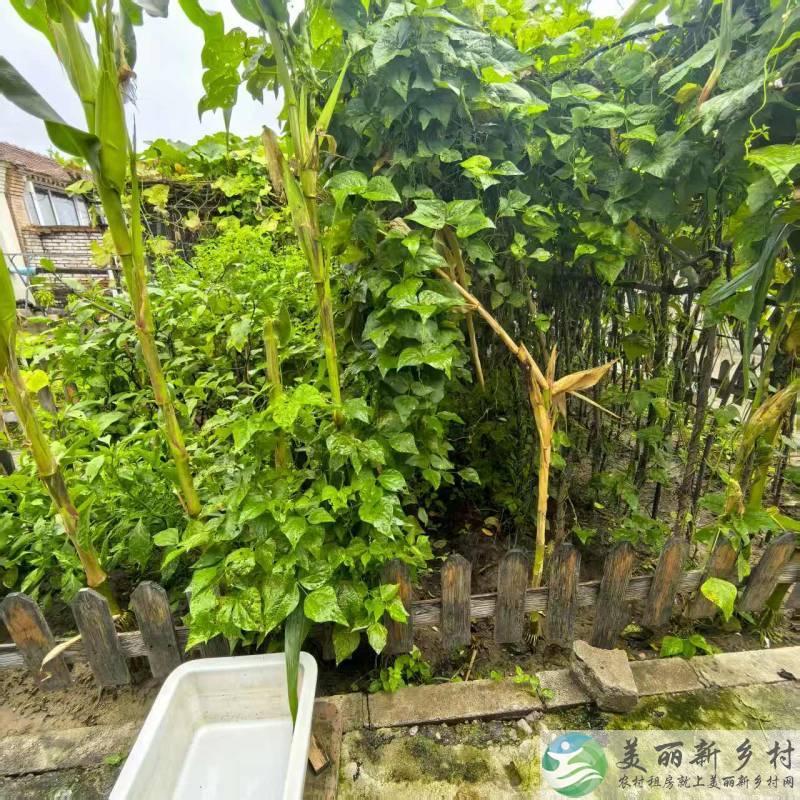 北京延庆农村院子-张山营田园真好度假小院出租