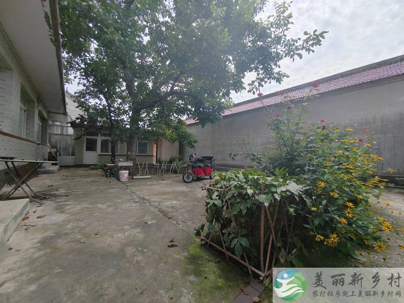 水长城景区院内有大树的稀缺大院-拎包入住