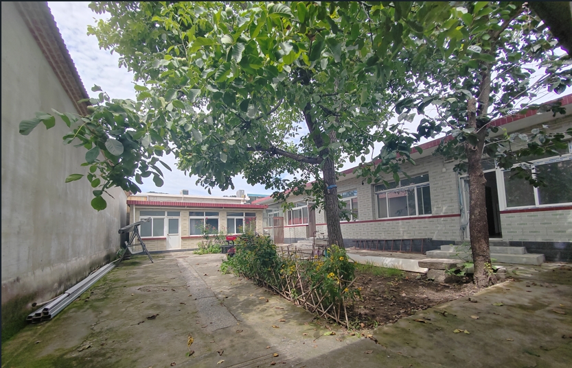 水长城景区院内有大树的稀缺大院-拎包入住