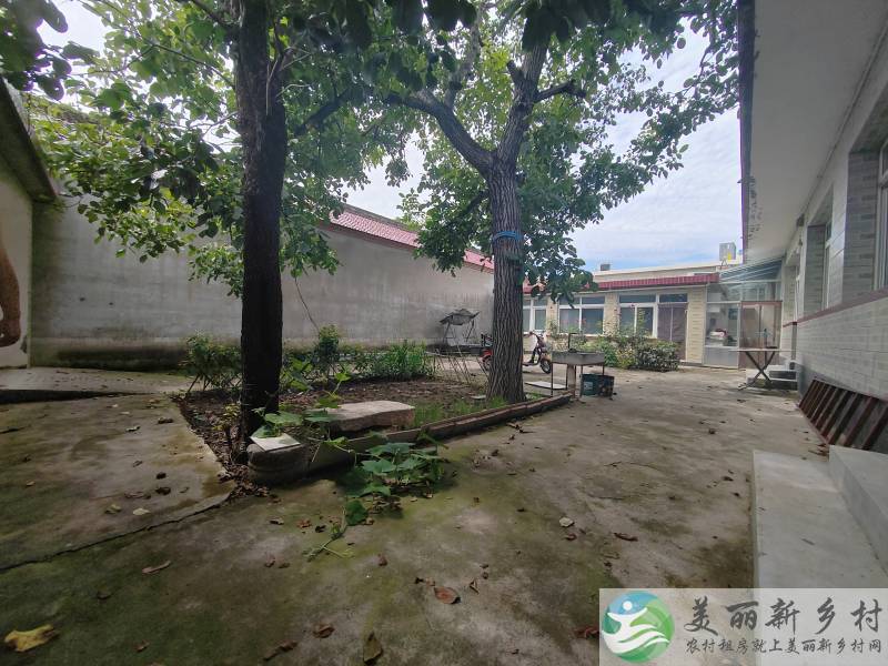 水长城景区院内有大树的稀缺大院-拎包入住