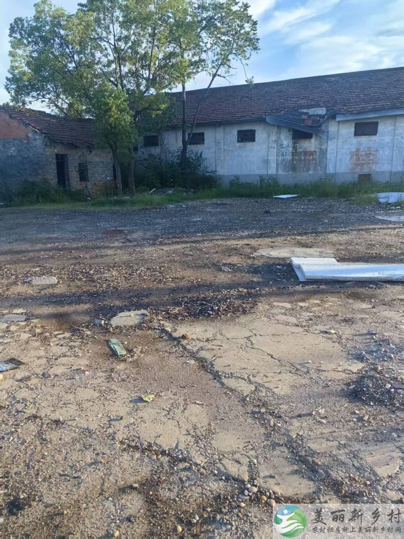 张集镇赵湾村仓库，场地出租