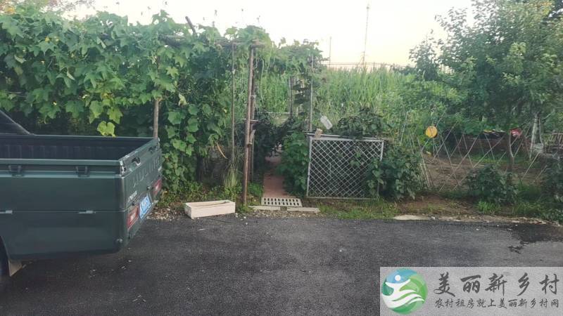 不老屯镇不老屯村四合院出租