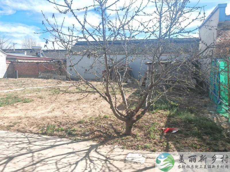 自家院子首次出租，院子大