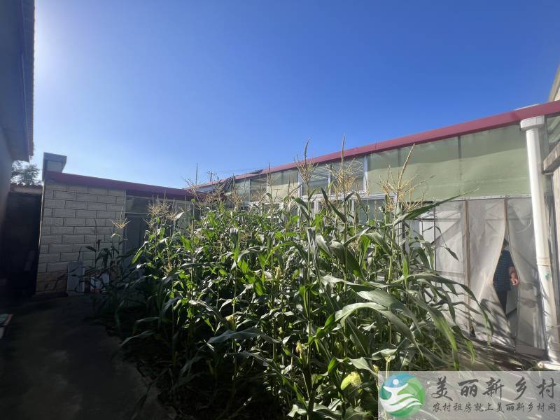 顺义大孙各庄，京平高速附近