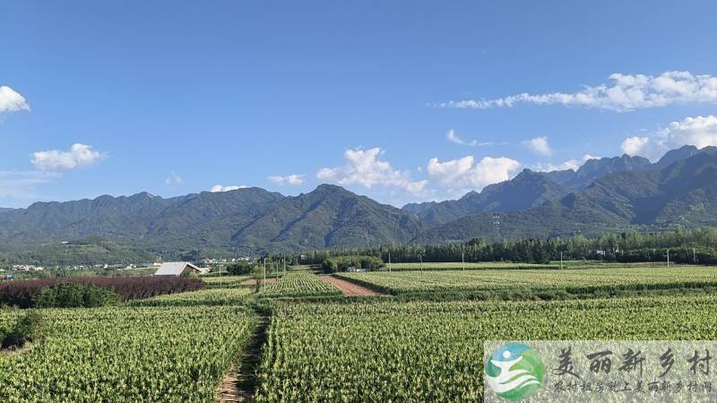 长安区农家院子出租