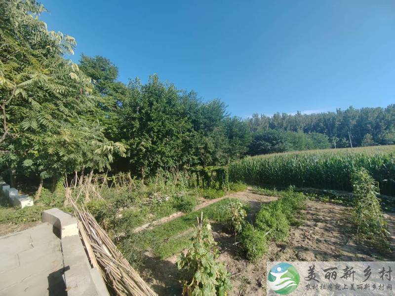 李桥潮白河西岸再出300平优质开敞大院！门前开阔无遮挡视野无限！