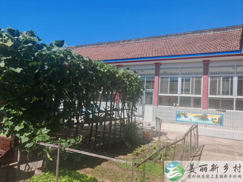 南彩镇洼里村