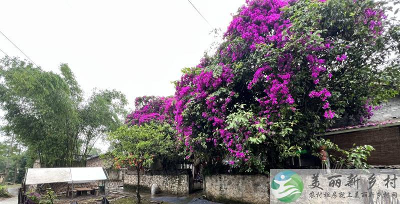 重庆农村院子出租-沙坪坝歌乐山青砖瓦房四合院带菜地