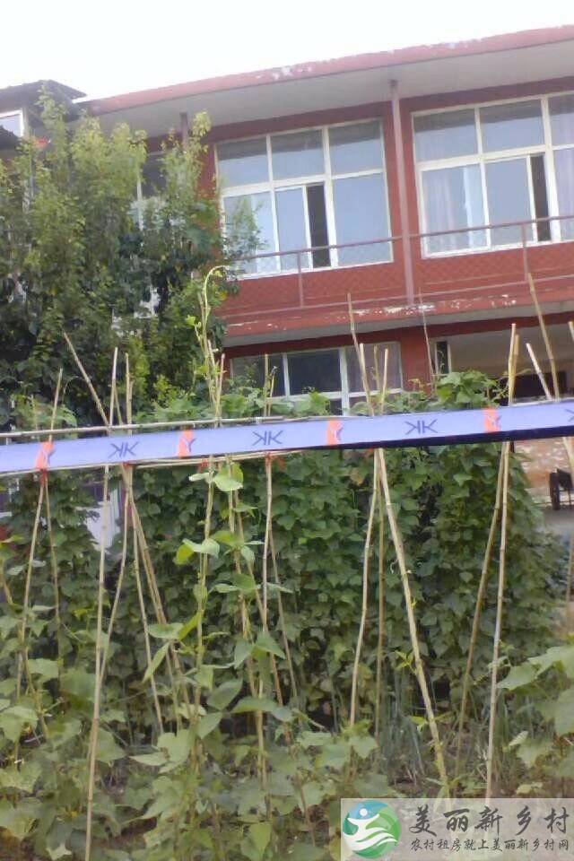 北石槽镇寺上村楼房出租