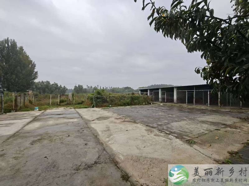 顺义北务镇八亩宠物友好大院-共18间房/位置佳/把村边