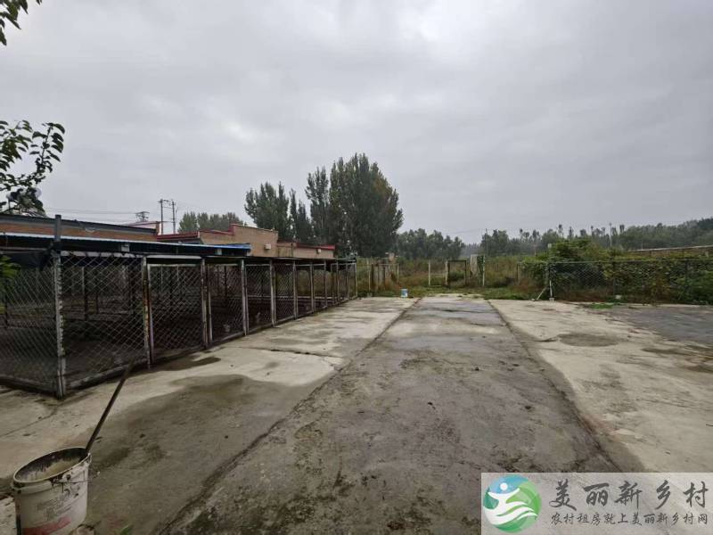 顺义北务镇八亩宠物友好大院-共18间房/位置佳/把村边