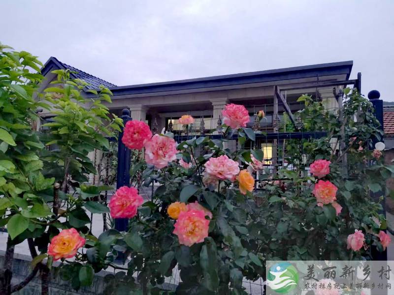 北京市密云区西田各庄镇坟庄村庭院出租