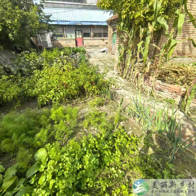北京延庆农村院子-城区内老房出租可住农工人