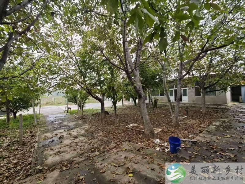 顺义北务镇八亩宠物友好大院-共18间房/位置佳/把村边