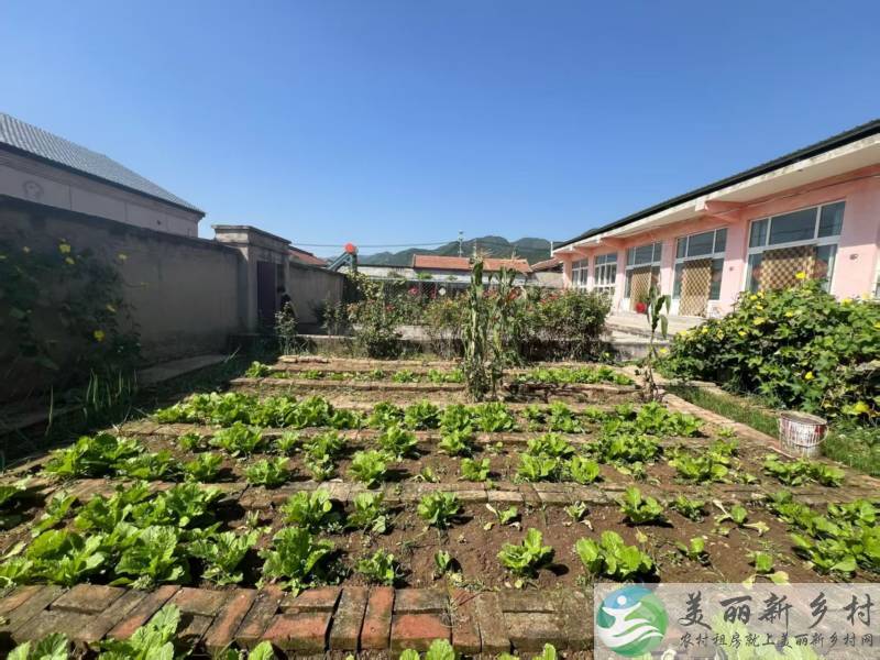 南口镇前桃洼村大院房出租