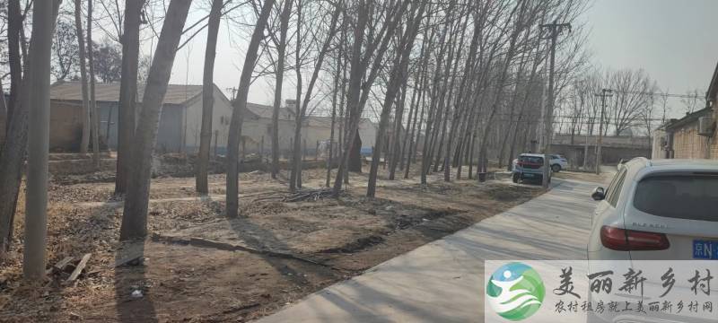 采育镇新建院子出租