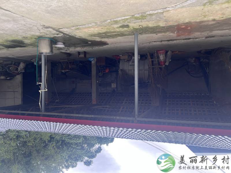 新津花源农房出租