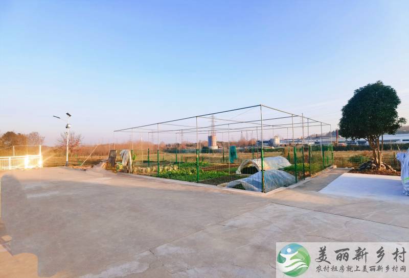 陶吴镇西阳社区多套精装修房屋出租
