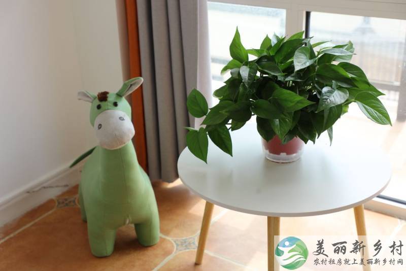 乡村墅院出租