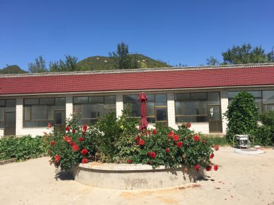 北京延慶八達嶺長(cháng)城腳下送三畝果園半山腰獨立兩畝大院出租