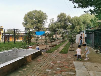 北京順義區李遂鎮寵物樂(lè )園