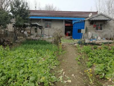 安徽滁州全椒农村新盖的自建房出租
