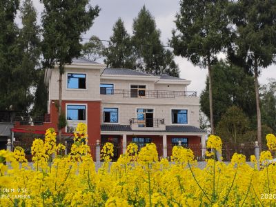 四川省南充市農村房子出租-王家鎮最美鄉村農房出租