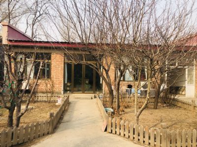 北京顺义农村宅基地 独立小院儿出租，有花有果树