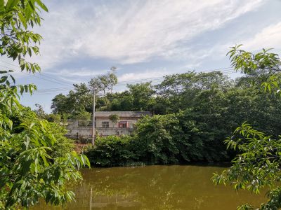 重庆市合川区太和镇自家农村房屋出租，通电，可通网，吃井水。