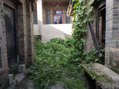 河南洛陽(yáng)美麗小院整體出租