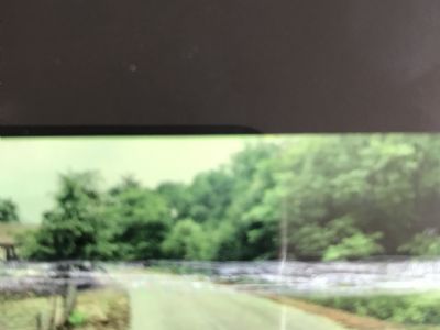 大連市莊河市容花山鎮前楊家屯42號